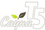 Логотип компании Т5