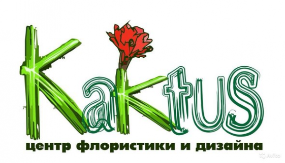Логотип компании Kaktus