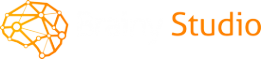 Логотип компании Brainy Studio LLC