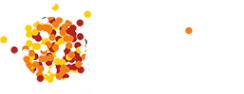 Логотип компании Орсо групп
