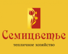 Логотип компании Семицветье