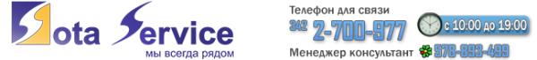 Логотип компании Сота-Сервис