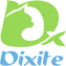 Логотип компании Диксайт