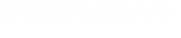 Логотип компании БлиZZард-фото