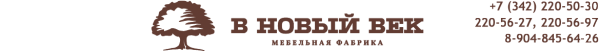 Логотип компании В новый век