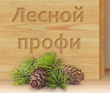 Логотип компании Лесной Профи