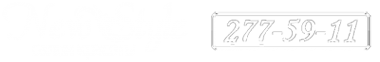 Логотип компании New Style