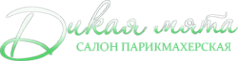 Логотип компании Дикая мята