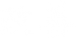 Логотип компании Кайдзэн