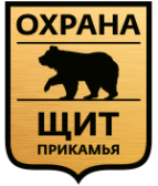 Логотип компании ЩИТ ПРИКАМЬЯ