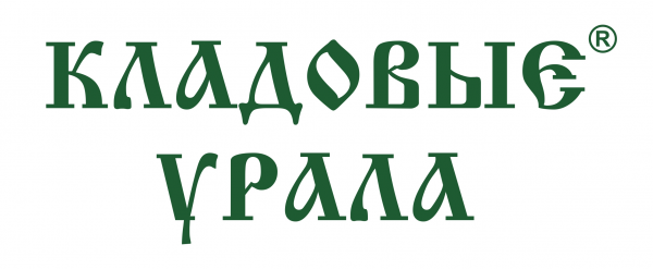 Логотип компании Элмарис