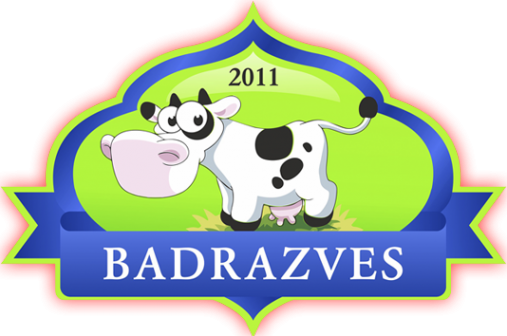 Логотип компании BADRAZVES