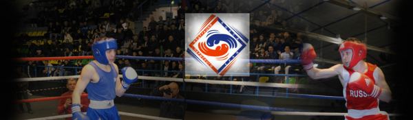 Логотип компании Федерация бокса Пермского края