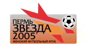 Логотип компании Звезда-2005