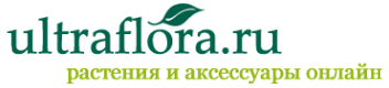 Логотип компании Ultraflora.ru