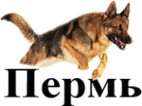 Логотип компании Центр собаководства Пермского края