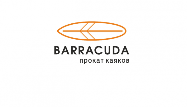 Логотип компании BARRACUDA