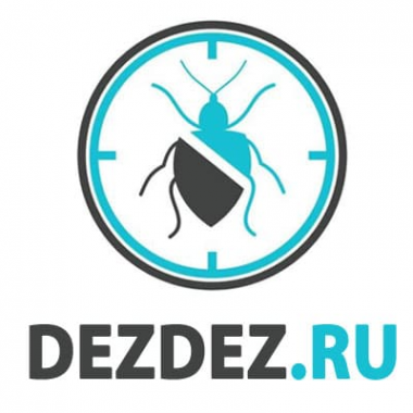Логотип компании DezDez ru Пермь Логотип компании DezDez ru Пермь
