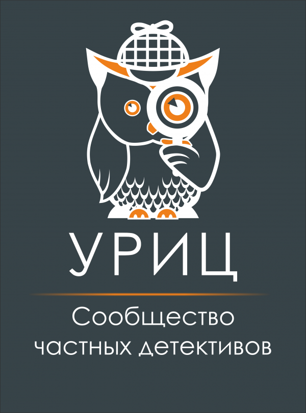 Логотип компании Уральский Региональный Информационный центр